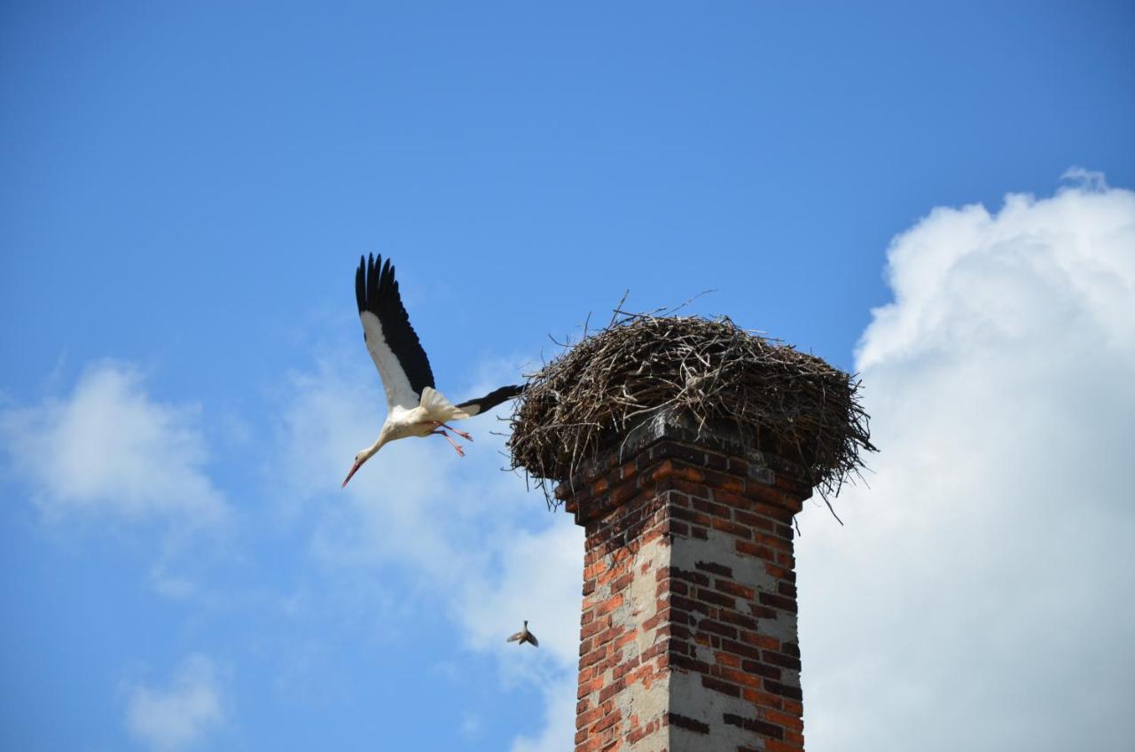 Parkschloesschen Hotel Maasdorf  Luaran gambar