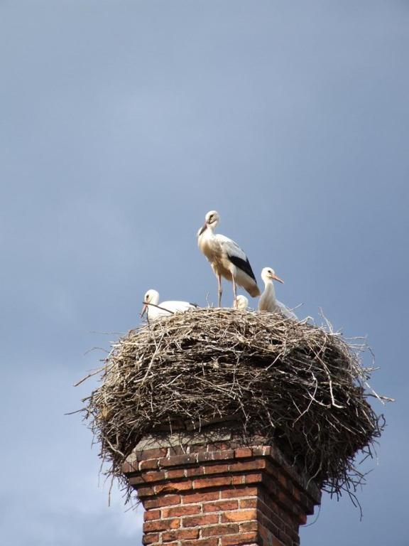 Parkschloesschen Hotel Maasdorf  Luaran gambar